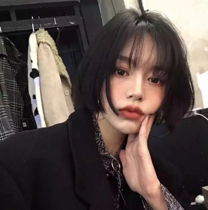 北极征熊记