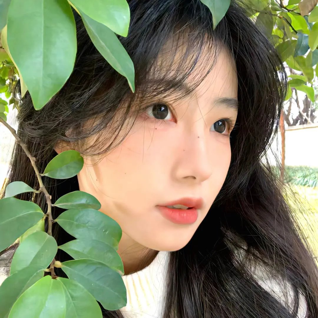 安东妮雅与珍